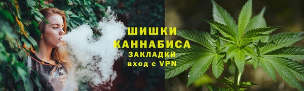 прущие грибы Покровск