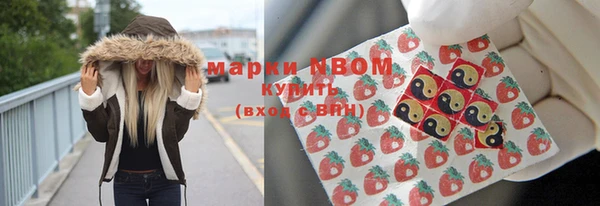 прущие грибы Покровск
