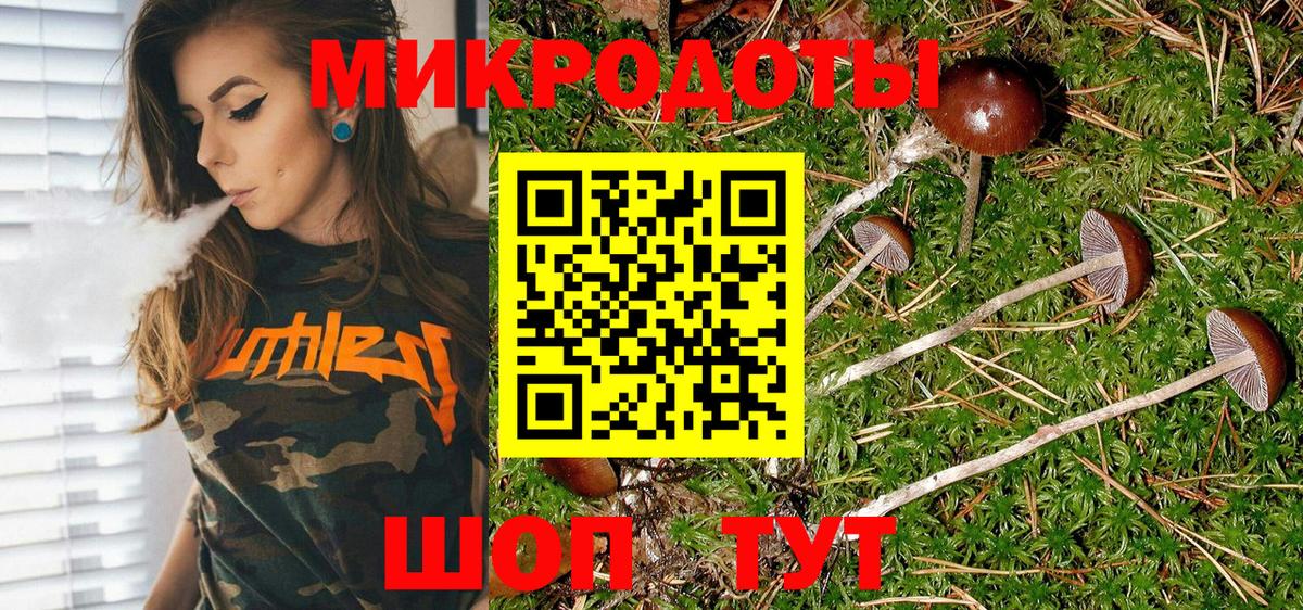 Галлюциногенные грибы Magic Shrooms  Искитим 