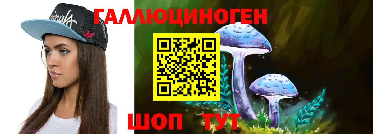 Псилоцибиновые грибы Psilocybe Искитим